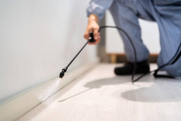 Licensed Pest Control service in East Franklin, NJ - Nex Pest Control