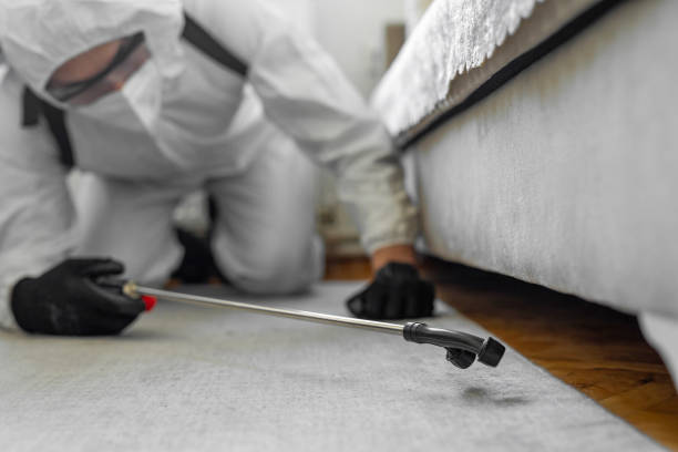 Professional Pest Control technician working in East Franklin, NJ