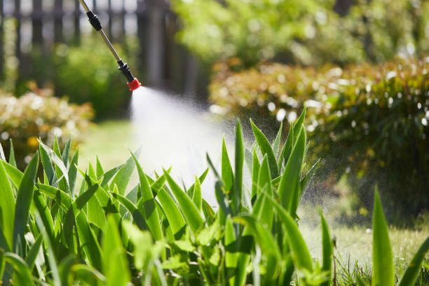 24/7 Emergency Termite Control experts in East Franklin, NJ