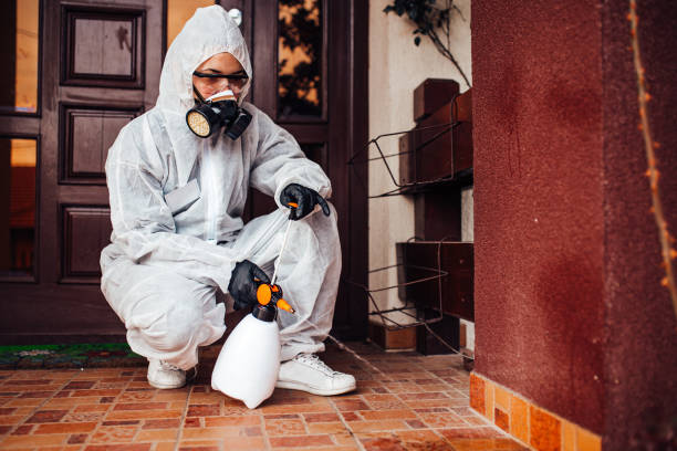 Reliable Termite Control contractor in East Franklin, NJ by Nex Pest Control