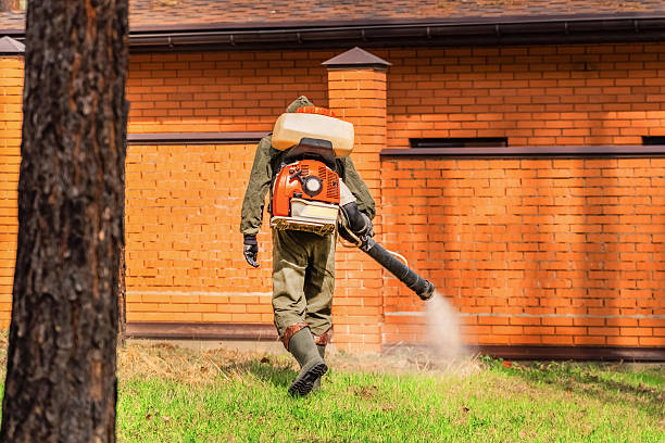Trusted Ant Control service in East Franklin, NJ - Nex Pest Control